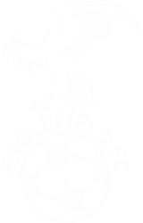 Englefield Eagles FC badge